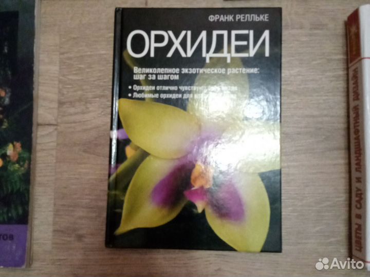 Садовый дизайн, Орхидеи