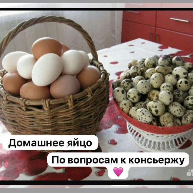 Перепелиное яйцо