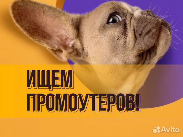 Распространитель рекламы