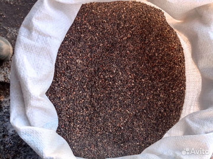 Зерноотходы, пшеница, овес