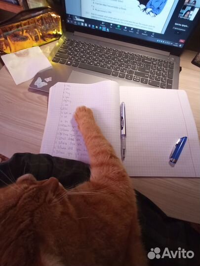 Напишу конспекты за вас