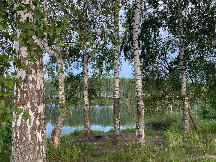 Участок 10 сот. (ИЖС)