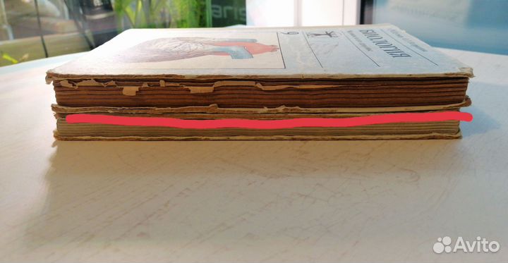 Справочники и учебники по биологии