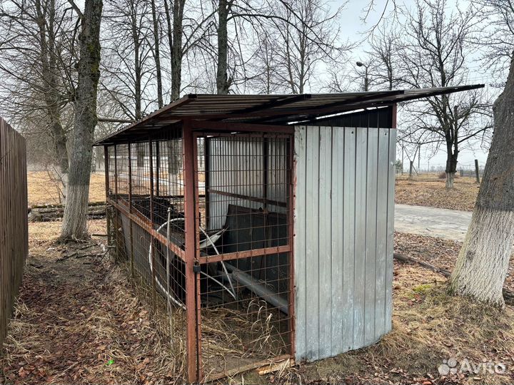 Вальер для собак