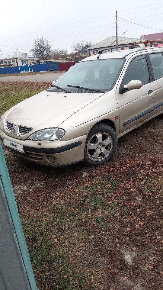 Renault Megane: фото владельца
