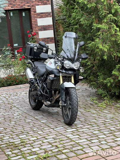 Triumph tiger 800