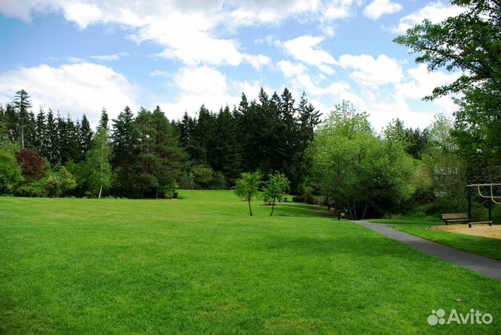 Рулонный газон с укладкой