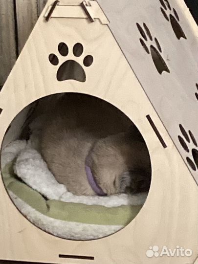 Домик для кошки
