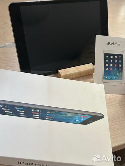 iPad mini 16gb