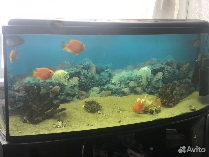 Аквариум с тумбой 400 литров