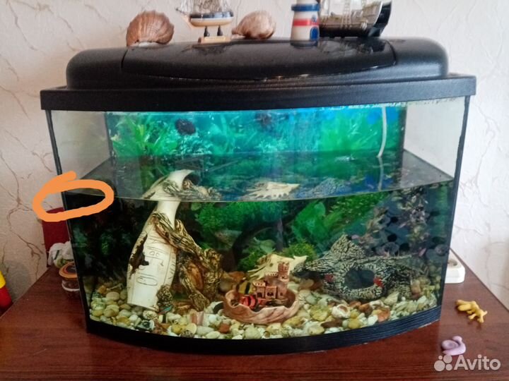 Аквариум
