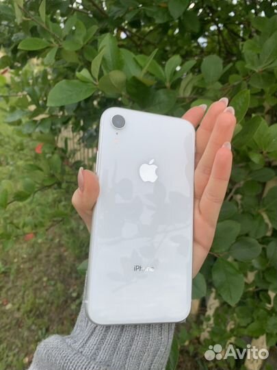 iPhone XR