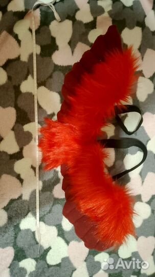 Фурсьют кота