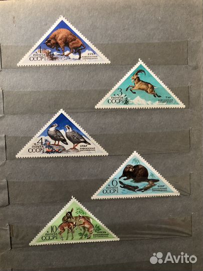 Почтовые марки мира