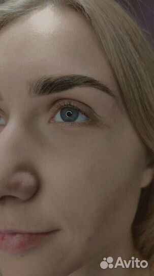 Мастер бровист