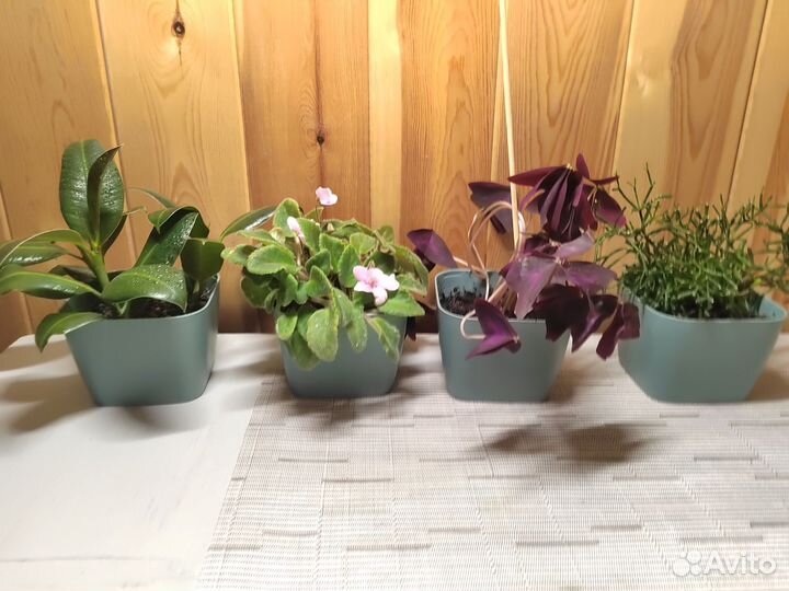 Комплект цветы