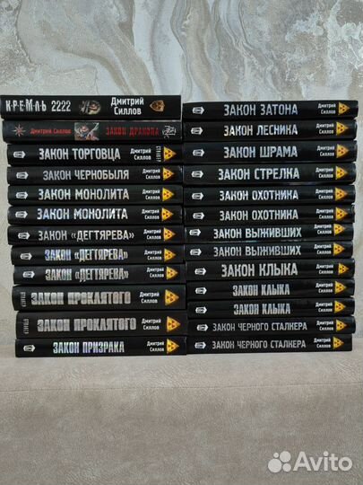 Сталкер. Дмитрий Силлов. Фантастика