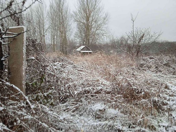 Участок 12 сот. (ИЖС)