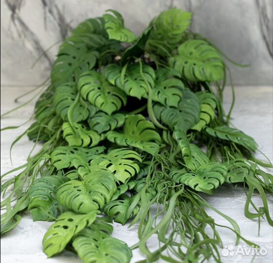 Кашпо с растениями свисающими, монстера