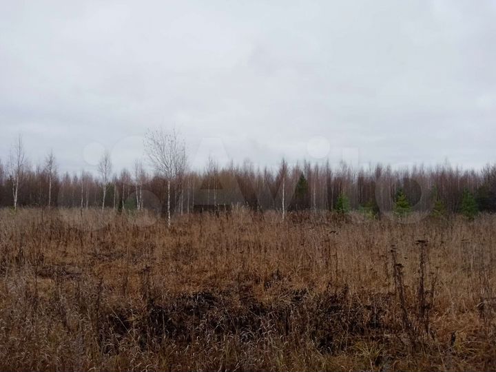 Участок 14,1 сот. (ИЖС)