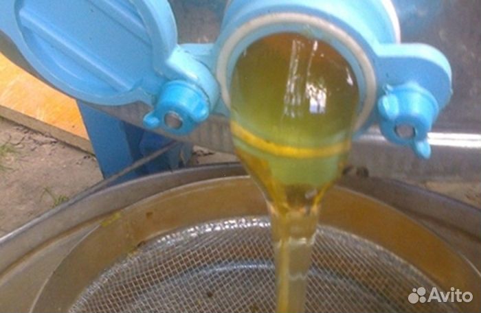 Мёд натуральный из Алтая оптом от 16кг