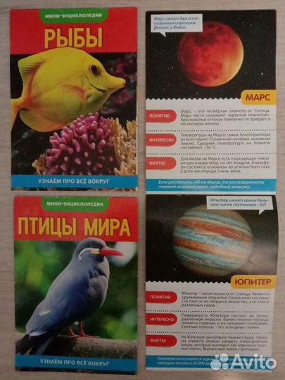 Книжки развивающие