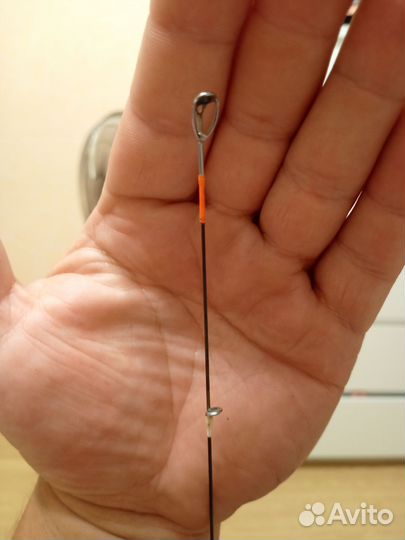 Фаворит блюбёрд