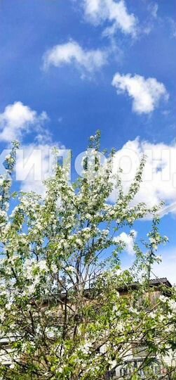 Дом 63 м² на участке 11 сот.