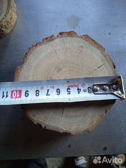 Спилы вишня