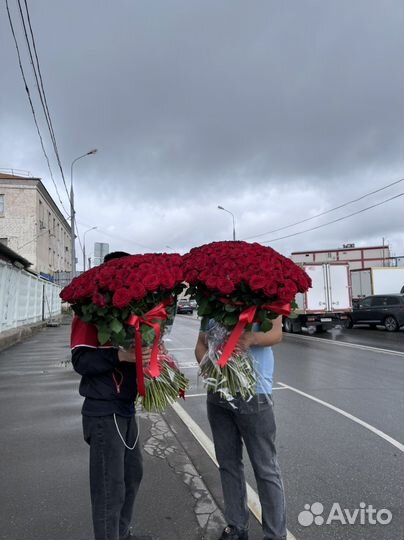 Розы шикарный