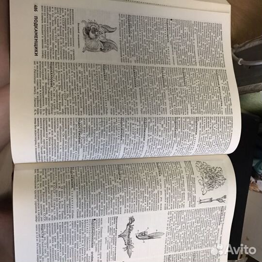 Биологический энциклопедический словарь