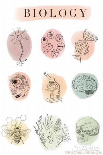 Репетитор по биологии огэ