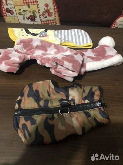 Одежда для собак