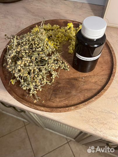 Маслогон паразитарный