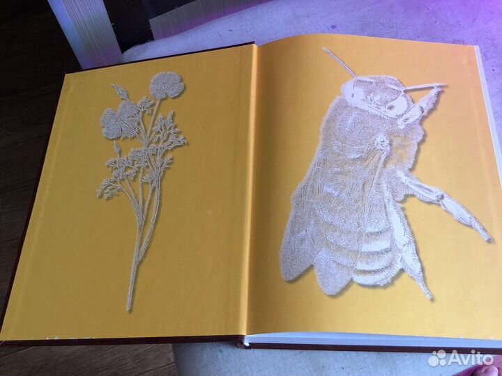 Энциклопедия пчела медоносная