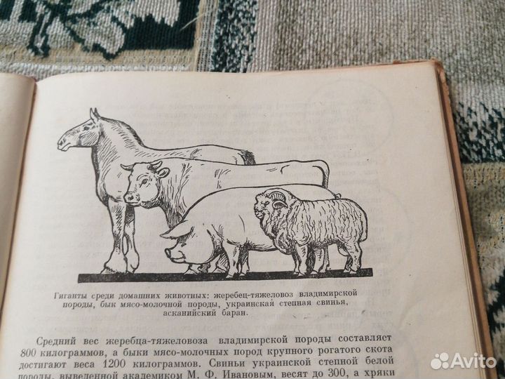 Занимательная зоология. Цингер. 1963г