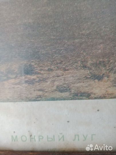 Старинная картина