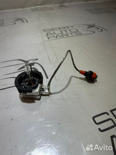 Ксеноновая лампа Ford Focus 3 CB8 1.6L ecoboost