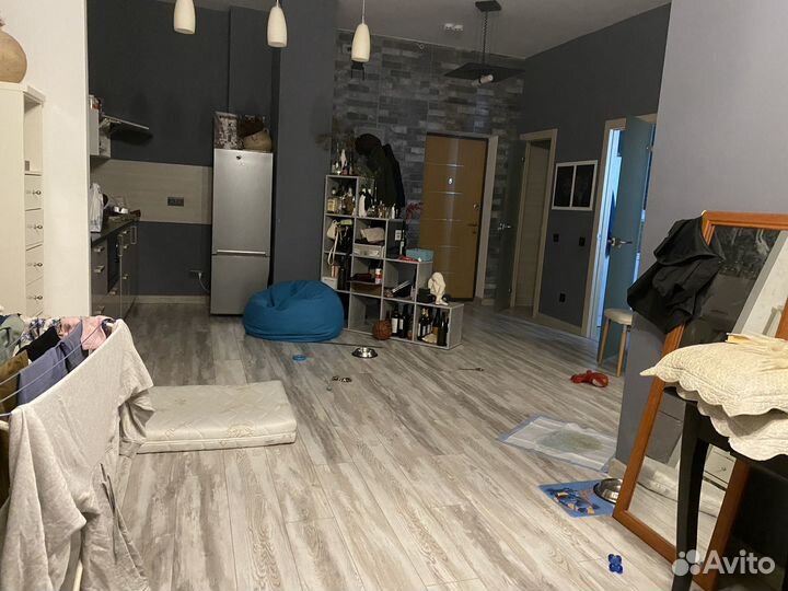 Передержка собаки