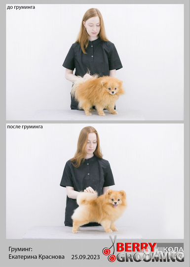 Грумер стрижка собак