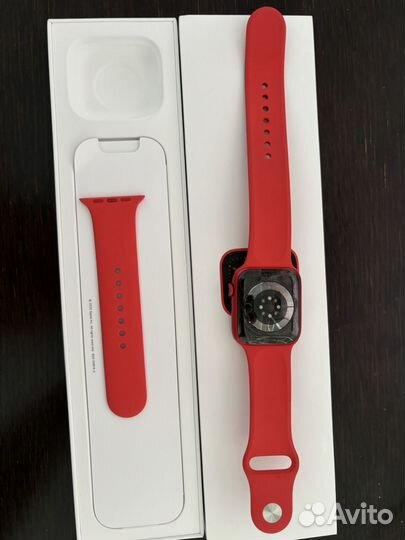 Apple watch 8