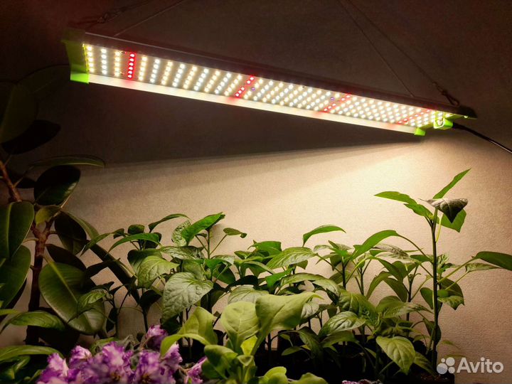 800W- 85 Вт Фитолампа для растений Quantum board