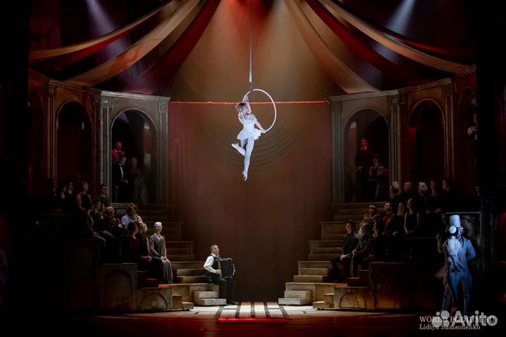 Мюзикл Принцесса цирка Билеты 1/2