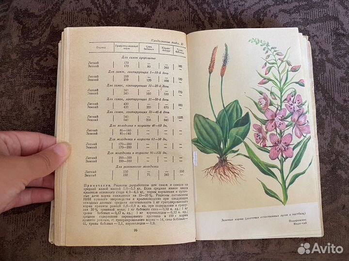 Справочник кроликовода 1988 год