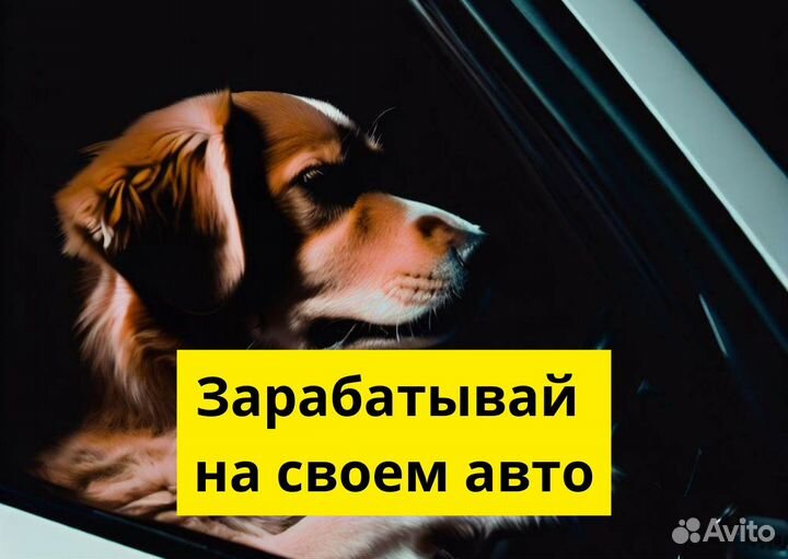 Стань водителем Яндекс.GO