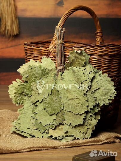 Веники березовые