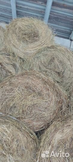 Сено для коров и коз 300 кг