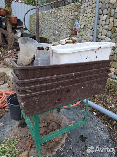 Кашпо для цветов бу