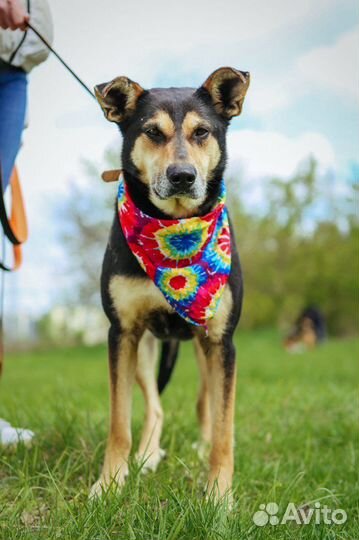 Лидер и в тоже время нежная Мэй