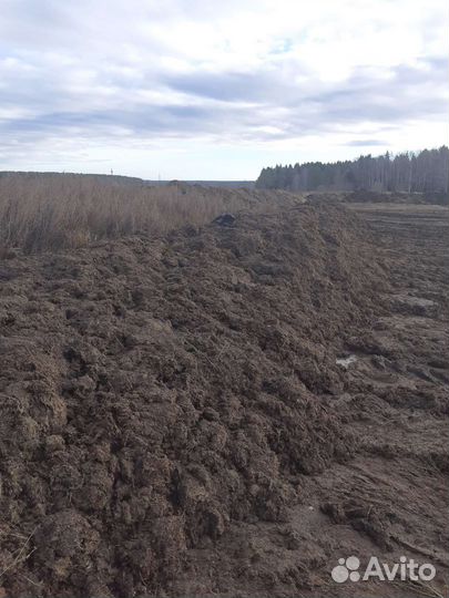 Перегной,навоз